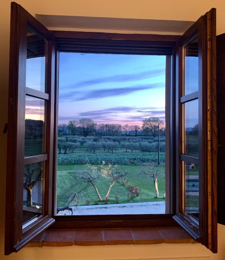 Opera Domini Asisium Bed and Breakfast Torchiagina Exterior foto